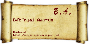 Bányai Ambrus névjegykártya