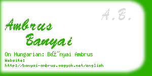 ambrus banyai business card
